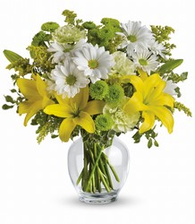 Brightly Blooming Cottage Florist Lakeland Fl 33813 Premium Flowers lakeland